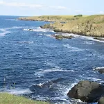 Victoria Sinemorets