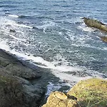 Victoria Sinemorets 辛尼莫雷特