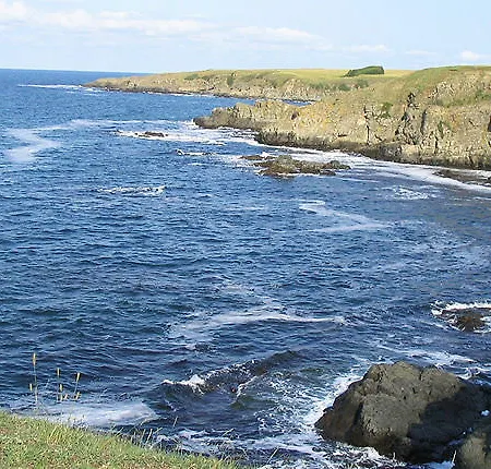 Victoria Sinemorets
