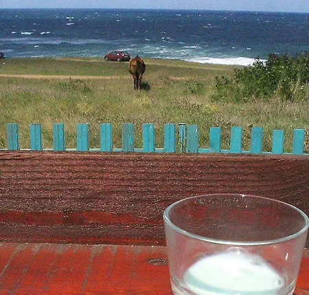 Gasthof Victoria Sinemorets 2*